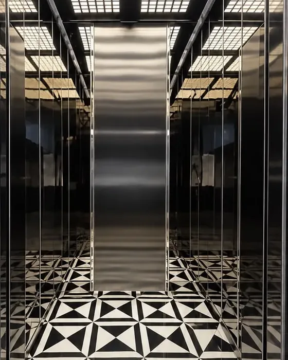 Fuji Black Edition 1000 kg by Hub Elevator